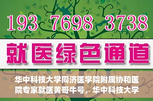 华中科技大学同济医学院附属协和医院专家就医黄哥牛号，华中科技大学同济医学院附属协和医院专家黄哥牛号解析就医攻略