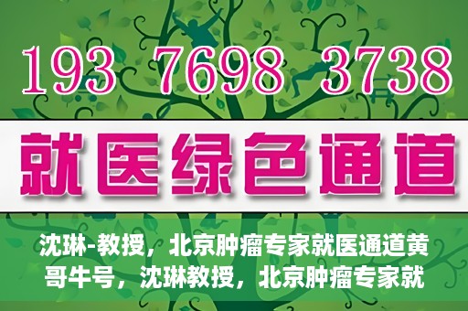 沈琳-教授，北京肿瘤专家就医通道黄哥牛号，沈琳教授，北京肿瘤专家就医通道揭秘——黄哥牛号领航健康之路