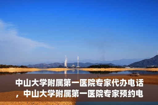 中山大学附属第一医院专家代办电话，中山大学附属第一医院专家预约电话及代办服务详解
