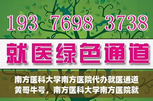 南方医科大学南方医院代办就医通道黄哥牛号，南方医科大学南方医院就医通道代办服务揭秘，黄哥牛号引领便捷就医新风尚