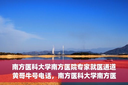 南方医科大学南方医院专家就医通道黄哥牛号电话，南方医科大学南方医院专家就医通道揭秘，黄哥牛号电话专线开通