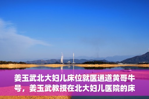 姜玉武北大妇儿床位就医通道黄哥牛号，姜玉武教授在北大妇儿医院的床位就医绿色通道，黄哥牛号助您轻松挂号就医