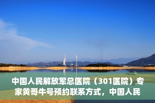 中国人民解放军总医院（301医院）专家黄哥牛号预约联系方式，中国人民解放军总医院（301医院）黄哥牛专家号预约联系方式全解析