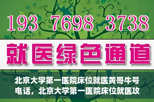 北京大学第一医院床位就医黄哥牛号电话，北京大学第一医院床位就医攻略，黄哥牛号电话全解析