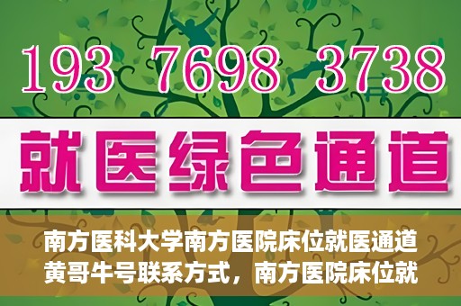 南方医科大学南方医院床位就医通道黄哥牛号联系方式，南方医院床位就医通道详解，黄哥牛号联系方式及就医指南
