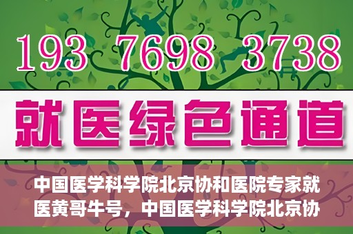 中国医学科学院北京协和医院专家就医黄哥牛号，中国医学科学院北京协和医院专家就医攻略，黄哥牛号解析