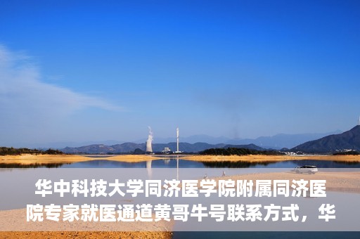 华中科技大学同济医学院附属同济医院专家就医通道黄哥牛号联系方式，华中科技大学同济医院专家就医通道，黄哥牛号联系方式全解析