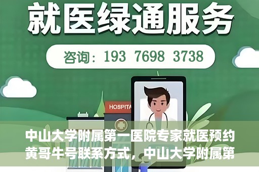 中山大学附属第一医院专家就医预约黄哥牛号联系方式，中山大学附属第一医院专家黄哥牛号预约指南，就医预约联系方式全解析