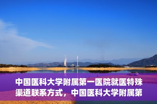 中国医科大学附属第一医院就医特殊渠道联系方式，中国医科大学附属第一医院特殊渠道就医联系方式指南