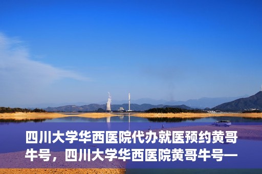 四川大学华西医院代办就医预约黄哥牛号，四川大学华西医院黄哥牛号——预约就医代办服务详解