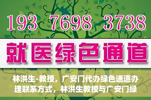 林洪生-教授，广安门代办绿色通道办理联系方式，林洪生教授与广安门绿色通道，联系方式及代办服务解析