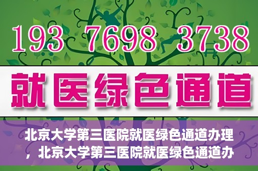 北京大学第三医院就医绿色通道办理，北京大学第三医院就医绿色通道办理详解，一站式解决您的就医难题