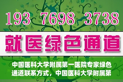 中国医科大学附属第一医院专家绿色通道联系方式，中国医科大学附属第一医院专家绿色通道联系热线及咨询方式