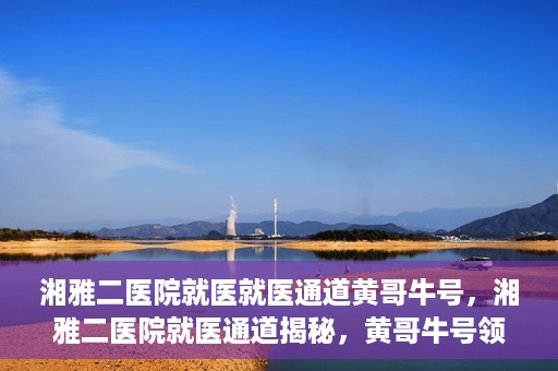 湘雅二医院就医就医通道黄哥牛号，湘雅二医院就医通道揭秘，黄哥牛号领航就医路