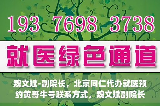魏文斌-副院长，北京同仁代办就医预约黄哥牛号联系方式，魏文斌副院长与北京同仁医院预约就医攻略，黄哥牛号联系方式揭秘
