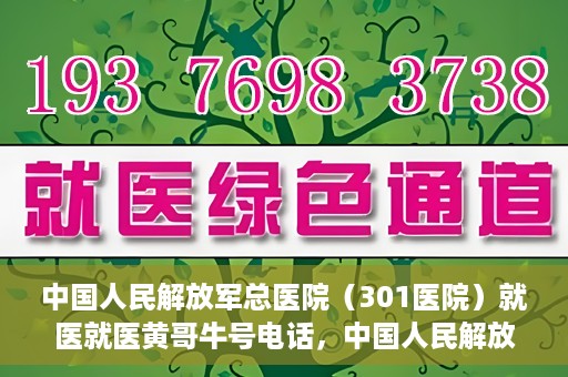 中国人民解放军总医院（301医院）就医就医黄哥牛号电话，中国人民解放军总医院（301医院）黄哥牛号电话就医攻略与指南