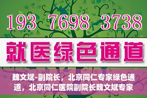 魏文斌-副院长，北京同仁专家绿色通道，北京同仁医院副院长魏文斌专家绿色通道介绍