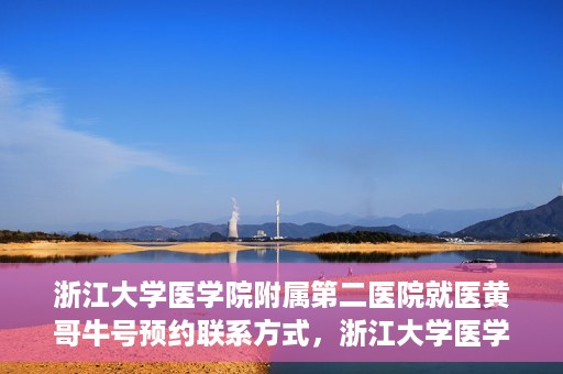 浙江大学医学院附属第二医院就医黄哥牛号预约联系方式，浙江大学医学院附属第二医院就医预约挂号联系方式，黄哥牛号预约攻略及联系方式揭秘