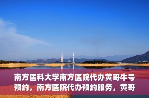 南方医科大学南方医院代办黄哥牛号预约，南方医院代办预约服务，黄哥牛号预约详解