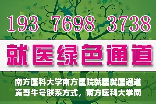 南方医科大学南方医院就医就医通道黄哥牛号联系方式，南方医科大学南方医院就医通道详解，黄哥牛号联系方式揭秘