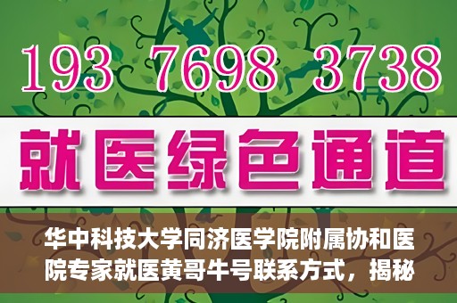 华中科技大学同济医学院附属协和医院专家就医黄哥牛号联系方式，揭秘华中科技大学同济医学院附属协和医院专家黄哥牛号联系信息及就医攻略