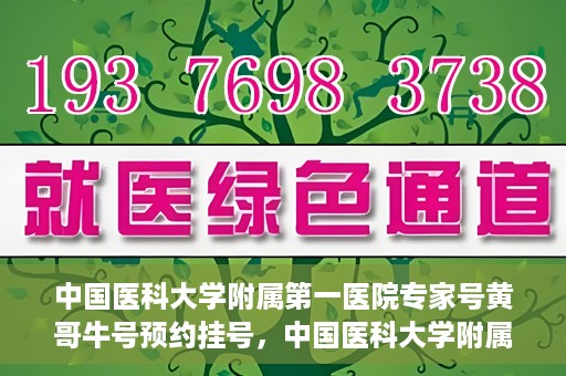 中国医科大学附属第一医院专家号黄哥牛号预约挂号，中国医科大学附属第一医院专家黄哥牛预约挂号攻略，轻松预约顶级专家号
