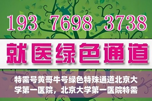 特需号黄哥牛号绿色特殊通道北京大学第一医院，北京大学第一医院特需号黄哥牛号，绿色特殊通道揭秘
