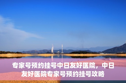 专家号预约挂号中日友好医院，中日友好医院专家号预约挂号攻略