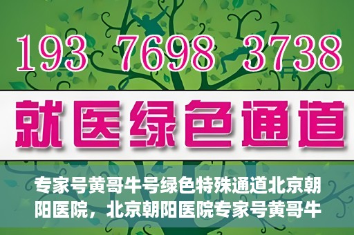 专家号黄哥牛号绿色特殊通道北京朝阳医院，北京朝阳医院专家号黄哥牛号开启绿色特殊通道，助力患者高效就医