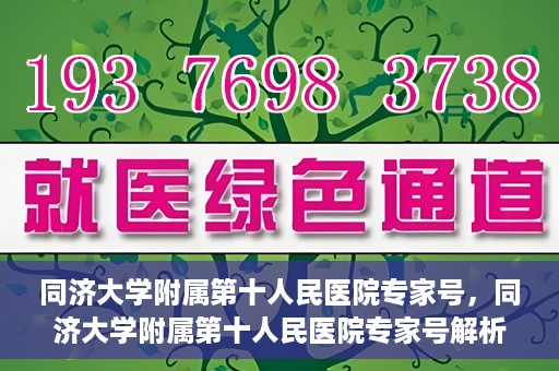 同济大学附属第十人民医院专家号，同济大学附属第十人民医院专家号解析，权威医疗团队的专业解读与诊疗服务