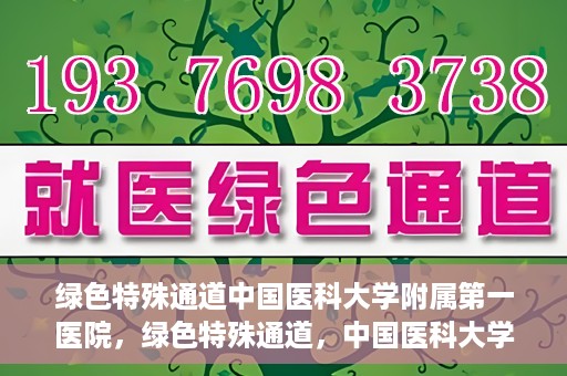 绿色特殊通道中国医科大学附属第一医院，绿色特殊通道，中国医科大学附属第一医院探索前行