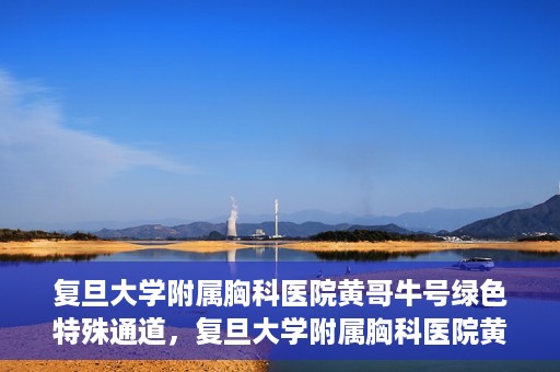 复旦大学附属胸科医院黄哥牛号绿色特殊通道，复旦大学附属胸科医院黄哥牛号，绿色特殊通道开启健康之门