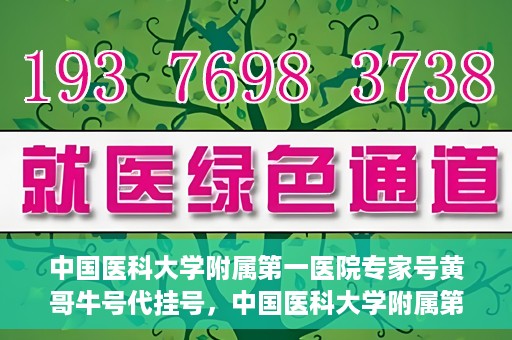 中国医科大学附属第一医院专家号黄哥牛号代挂号，中国医科大学附属第一医院专家号代挂号揭秘，黄哥牛号背后的故事