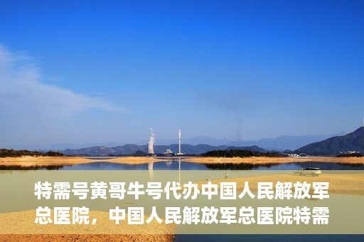 特需号黄哥牛号代办中国人民解放军总医院，中国人民解放军总医院特需号黄哥牛号代办服务解析
