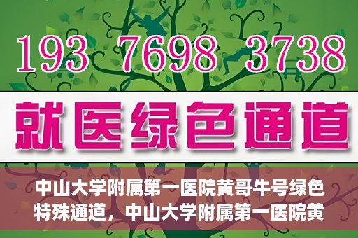 中山大学附属第一医院黄哥牛号绿色特殊通道，中山大学附属第一医院黄哥牛号，绿色特殊通道开启健康之门