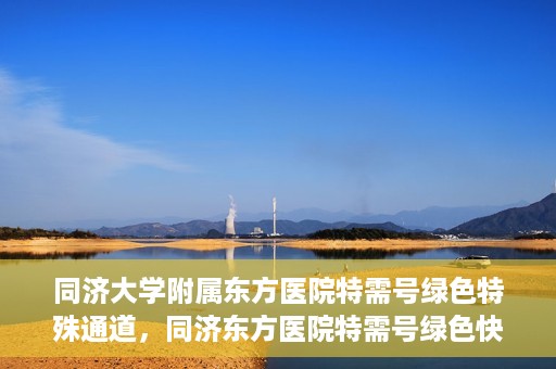 同济大学附属东方医院特需号绿色特殊通道，同济东方医院特需号绿色快捷通道揭秘