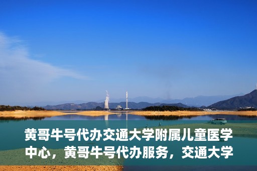 黄哥牛号代办交通大学附属儿童医学中心，黄哥牛号代办服务，交通大学附属儿童医学中心一站式解决方案