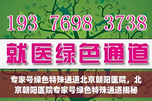 专家号绿色特殊通道北京朝阳医院，北京朝阳医院专家号绿色特殊通道揭秘，医疗服务的创新与优化体验