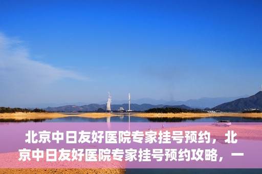 北京中日友好医院专家挂号预约，北京中日友好医院专家挂号预约攻略，一站式解决您的就医难题