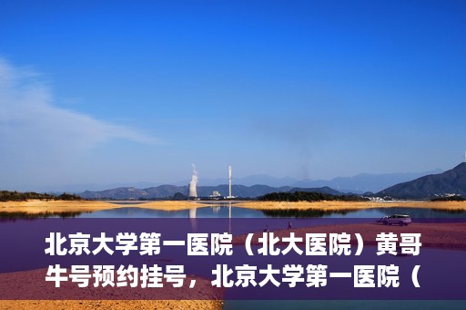 北京大学第一医院（北大医院）黄哥牛号预约挂号，北京大学第一医院（北大医院）黄哥牛号，预约挂号攻略