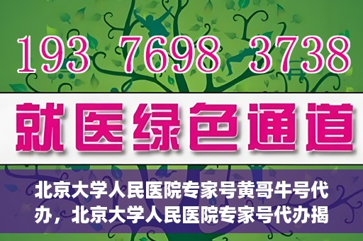 北京大学人民医院专家号黄哥牛号代办，北京大学人民医院专家号代办揭秘，黄哥牛号背后的故事
