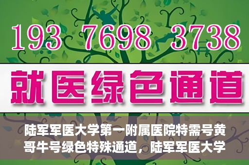 陆军军医大学第一附属医院特需号黄哥牛号绿色特殊通道，陆军军医大学第一附属医院特需号黄哥牛号，绿色特殊通道的独家解读
