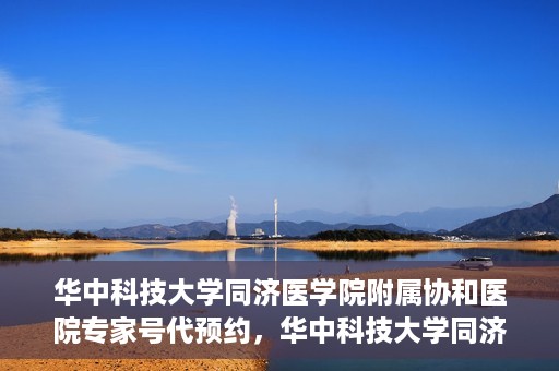 华中科技大学同济医学院附属协和医院专家号代预约，华中科技大学同济医学院附属协和医院专家号预约代办服务解析