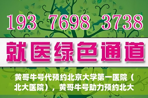 黄哥牛号代预约北京大学第一医院（北大医院），黄哥牛号助力预约北大医院——北京大学第一医院权威预约服务开启