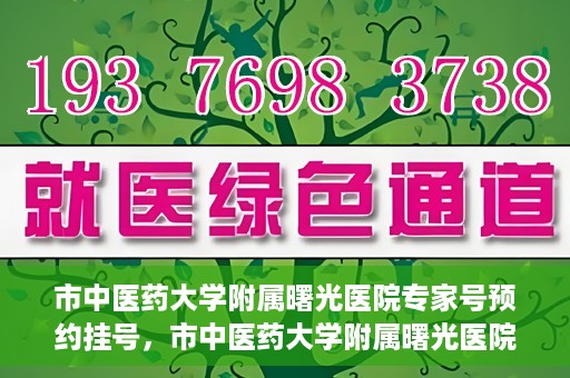 市中医药大学附属曙光医院专家号预约挂号，市中医药大学附属曙光医院专家号预约挂号攻略，一站式解决您的就医难题