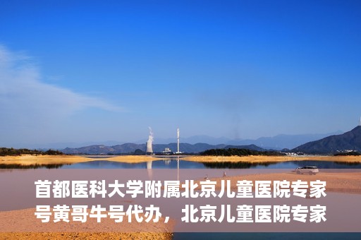 首都医科大学附属北京儿童医院专家号黄哥牛号代办，北京儿童医院专家黄哥牛号代办攻略，专业解读与预约指南