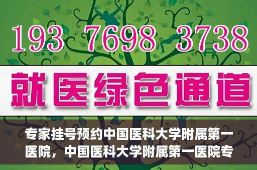 专家挂号预约中国医科大学附属第一医院，中国医科大学附属第一医院专家挂号预约解析