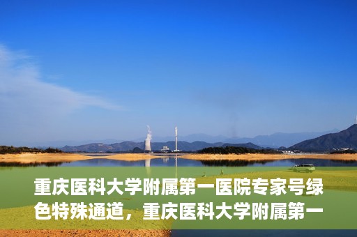 重庆医科大学附属第一医院专家号绿色特殊通道，重庆医科大学附属第一医院专家号绿色特殊通道，便捷就医新选择