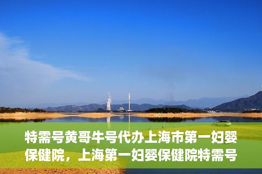 特需号黄哥牛号代办上海市第一妇婴保健院，上海第一妇婴保健院特需号代办服务黄哥牛号专业办理通道开启