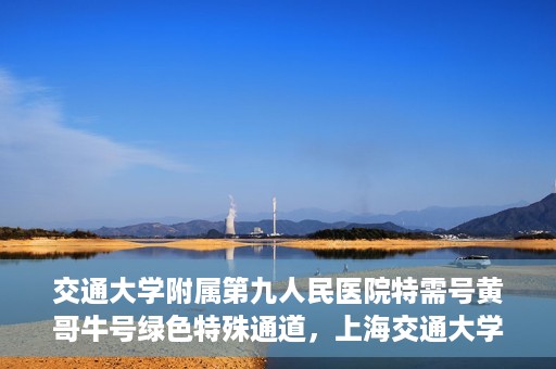交通大学附属第九人民医院特需号黄哥牛号绿色特殊通道，上海交通大学附属第九医院特需号专家黄哥牛号绿色就医通道解析